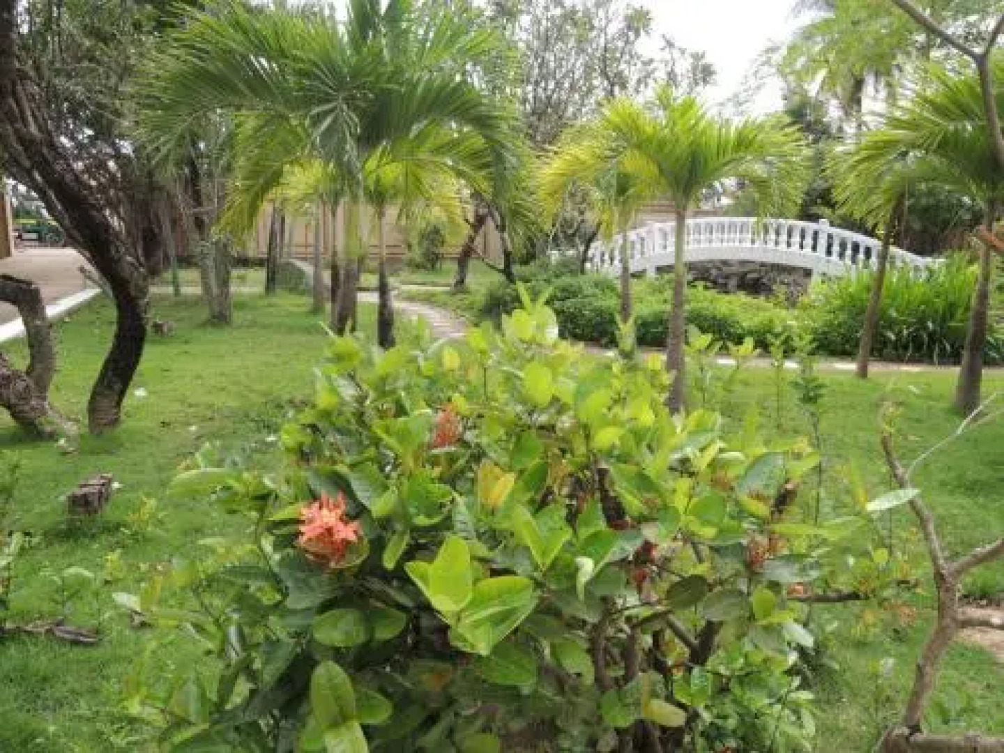 Serey Mathya Guesthouse