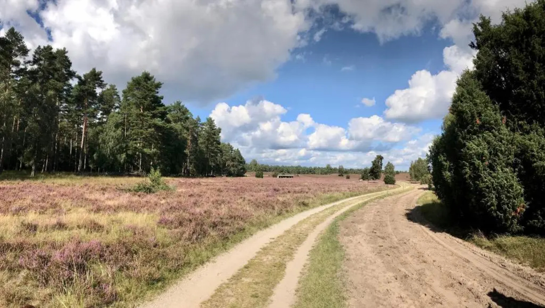 Zum-bothmerschen-Krug