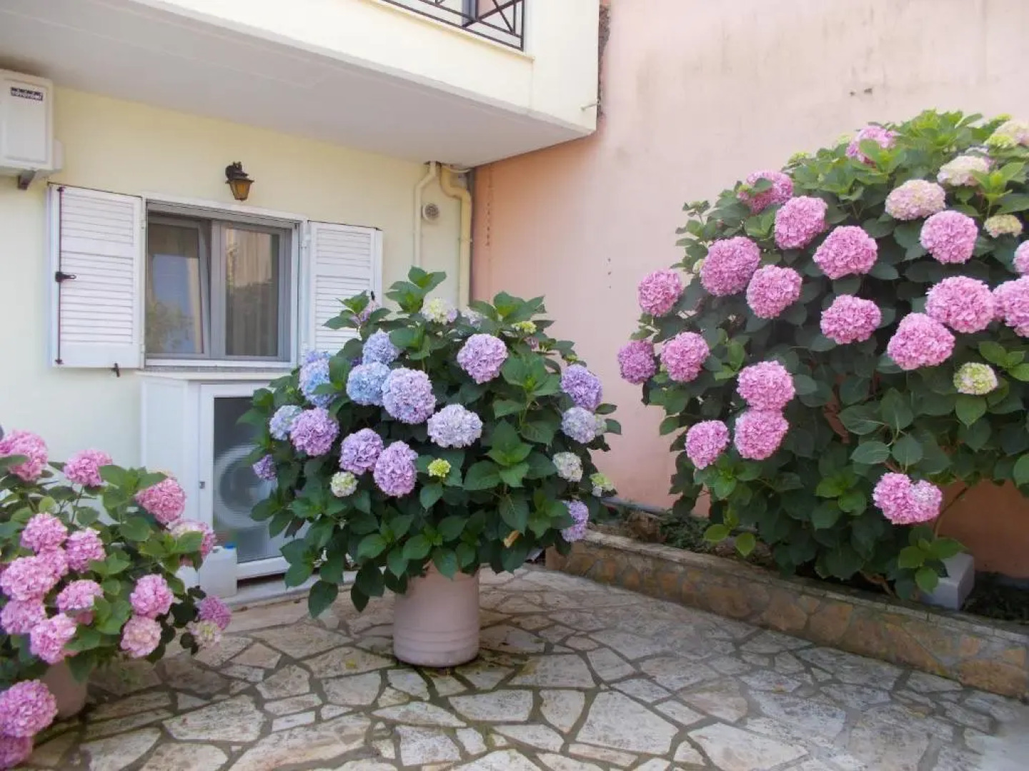 Pension Filoxenia