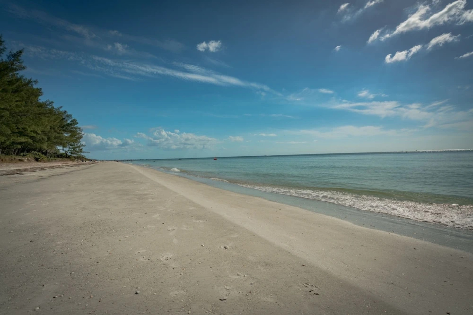 Seashell 19 by Vtrips