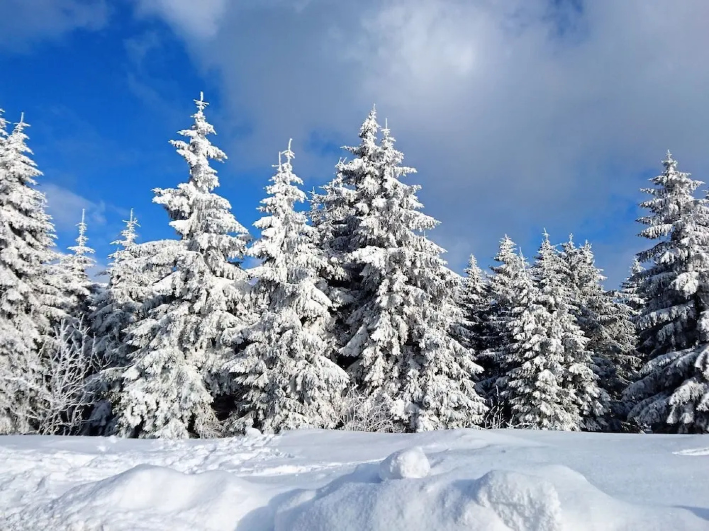 Beautiful Holiday Home in the Erzgebirge, Sea Level 900 m, With Large, Well-kept Garden