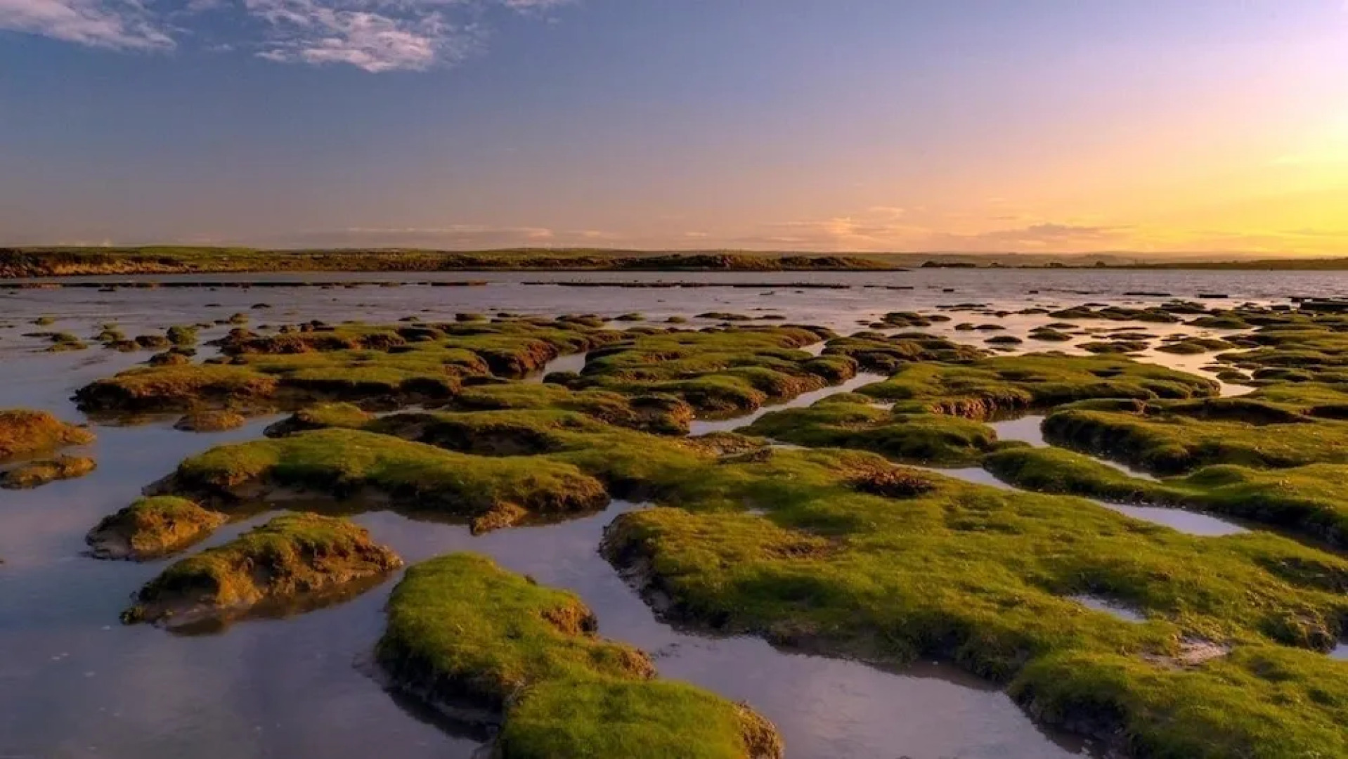 Whortleberry Studio B&B