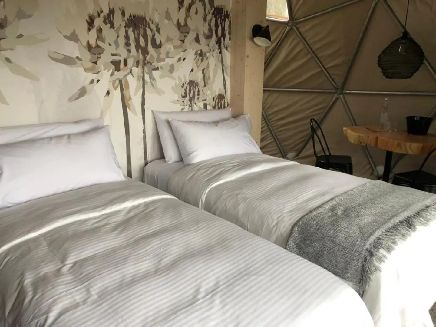 Big Bang Nature Stays