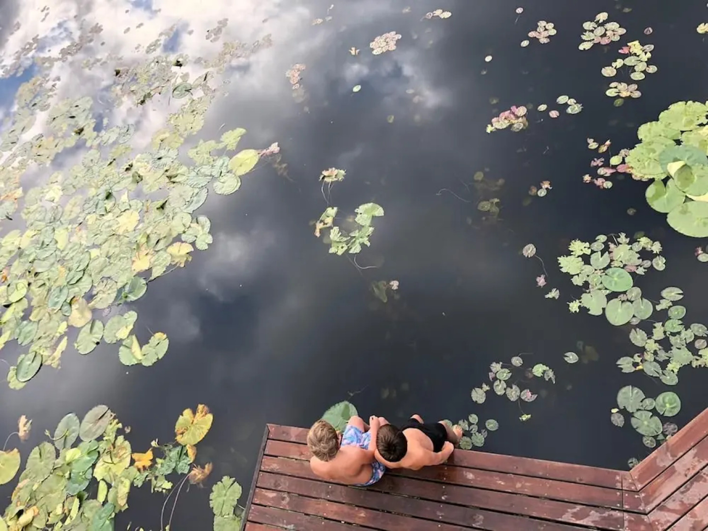 South Hill Guesthouse