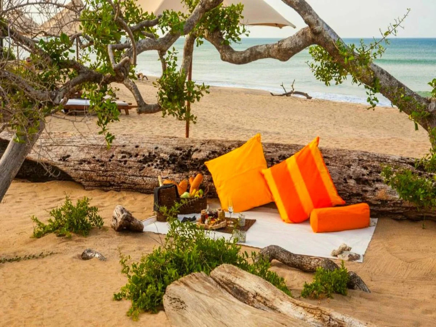 Uga Jungle Beach - Trincomalee