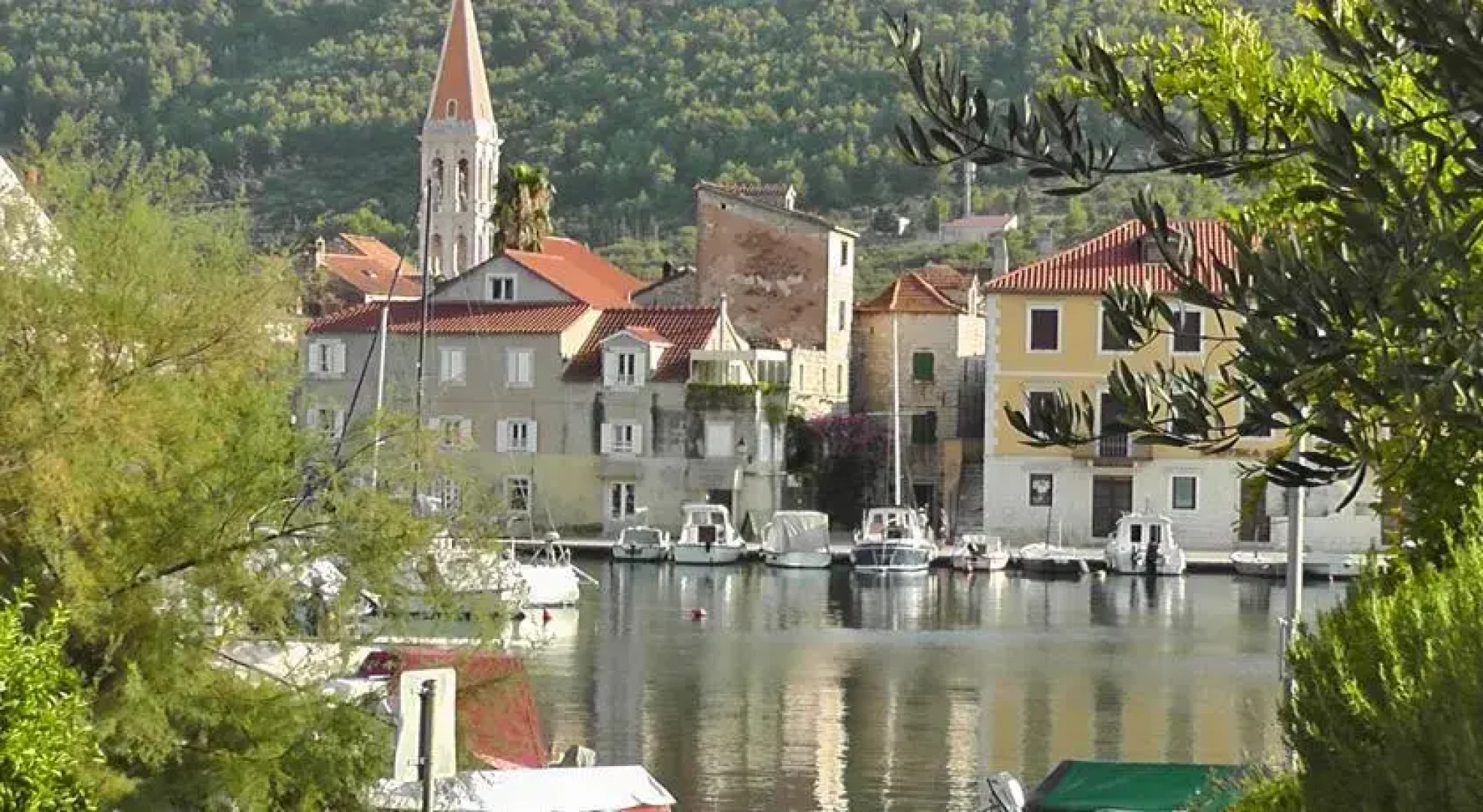 Green House Apartment