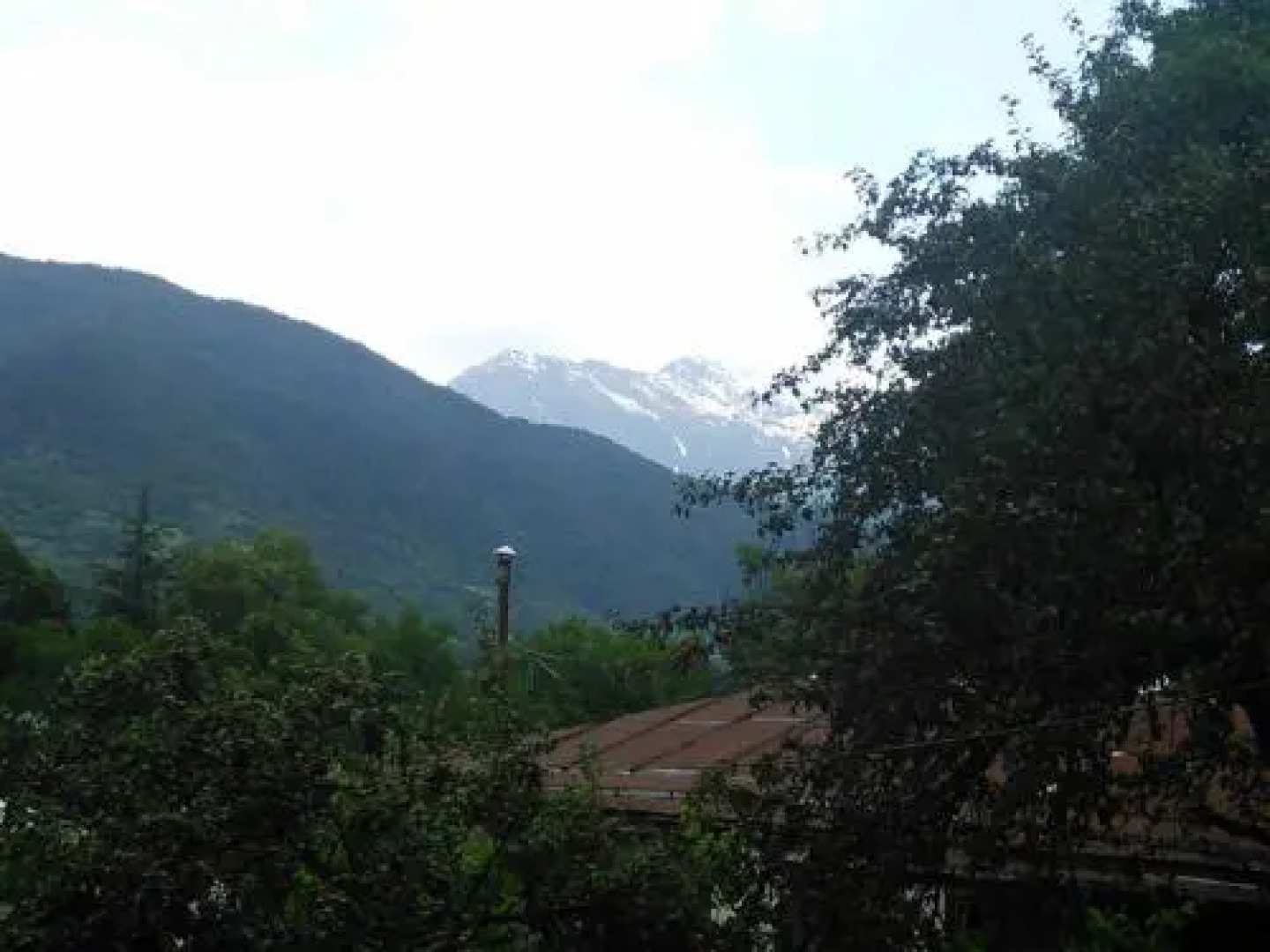 Guest House Orion Oni