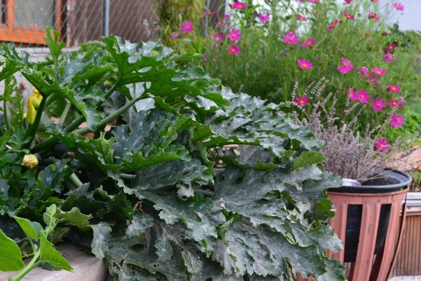 Gästezimmer Gerlinde