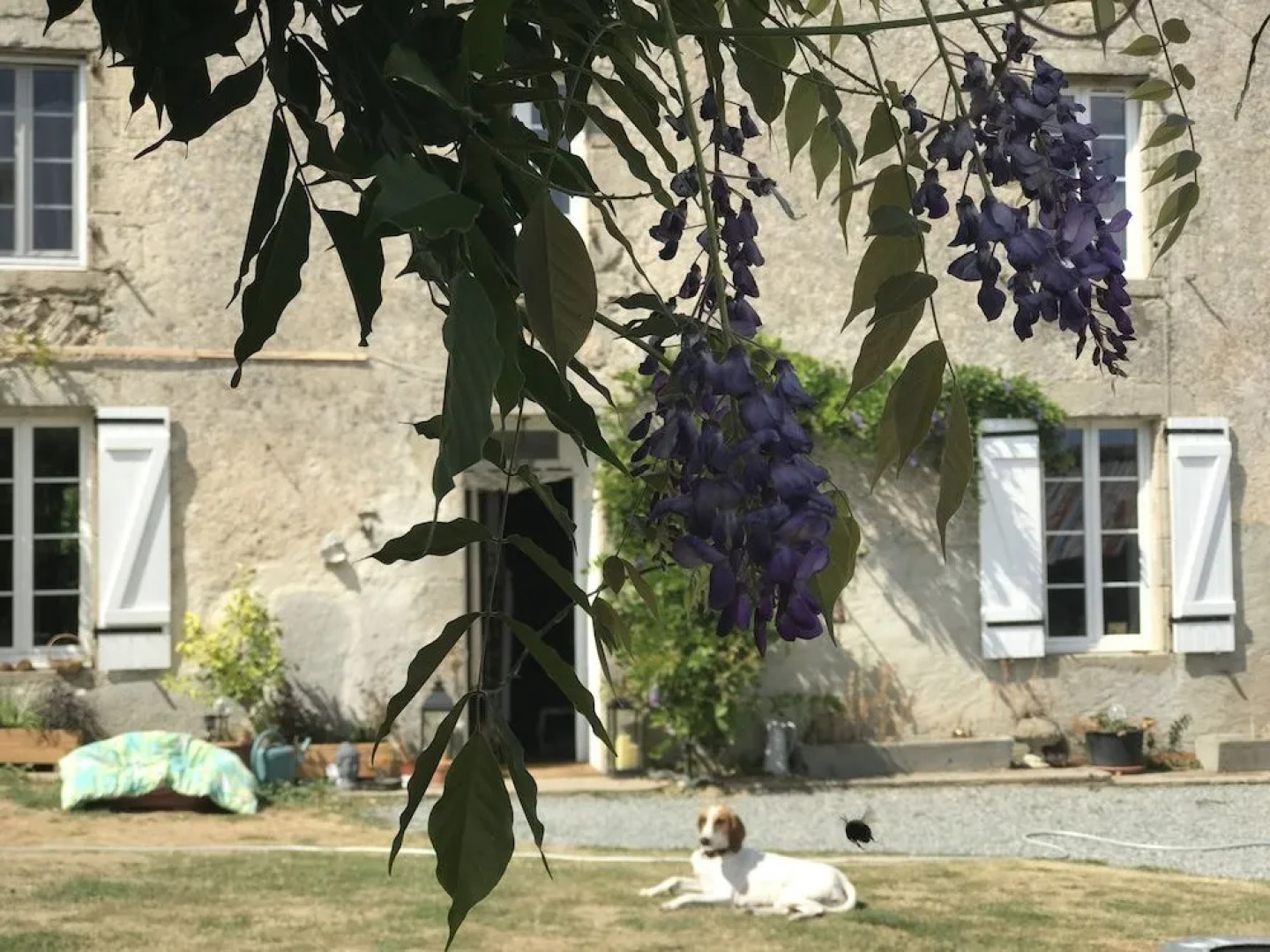 Wisteria House Bed & Breakfast