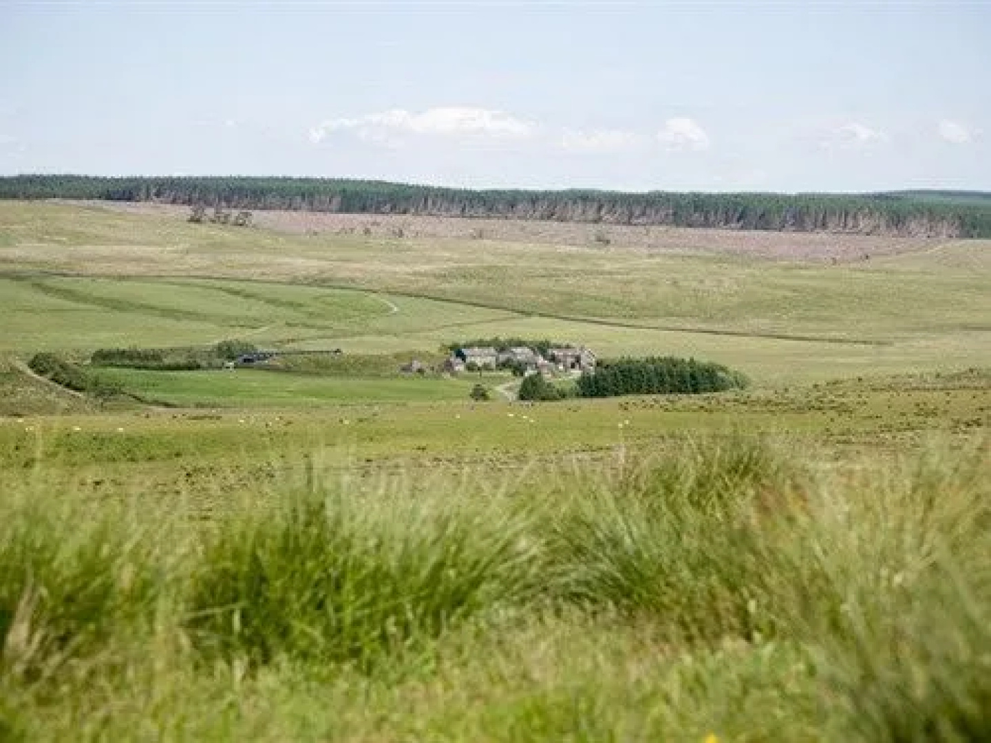 Gibbs Hill Farm