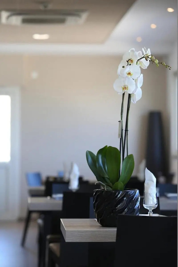 Hôtel Restaurant les Pielettes