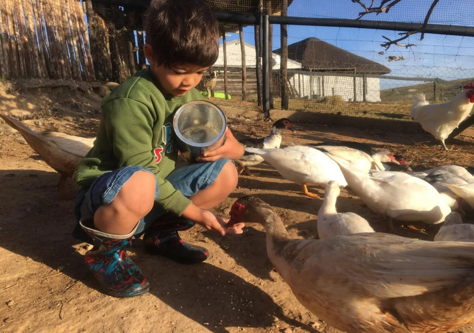 Outeniquabosch Lodge