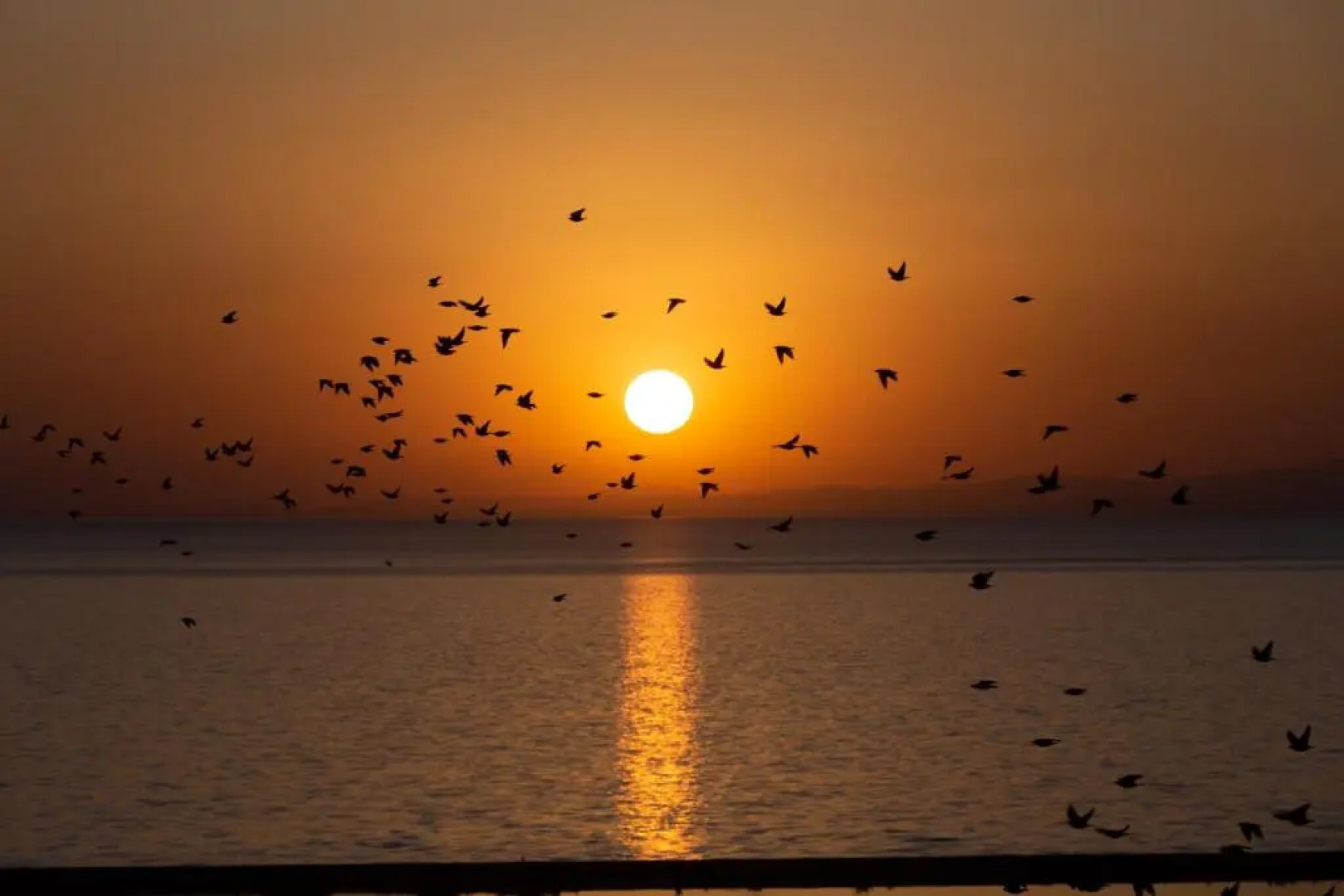 DoubleTree by Hilton Hotel Van