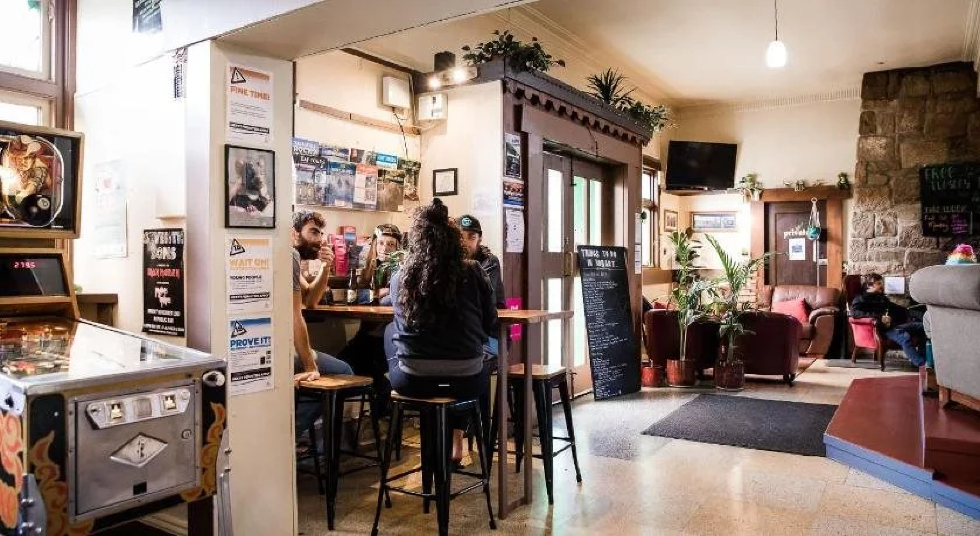 The Pickled Frog - Hostel