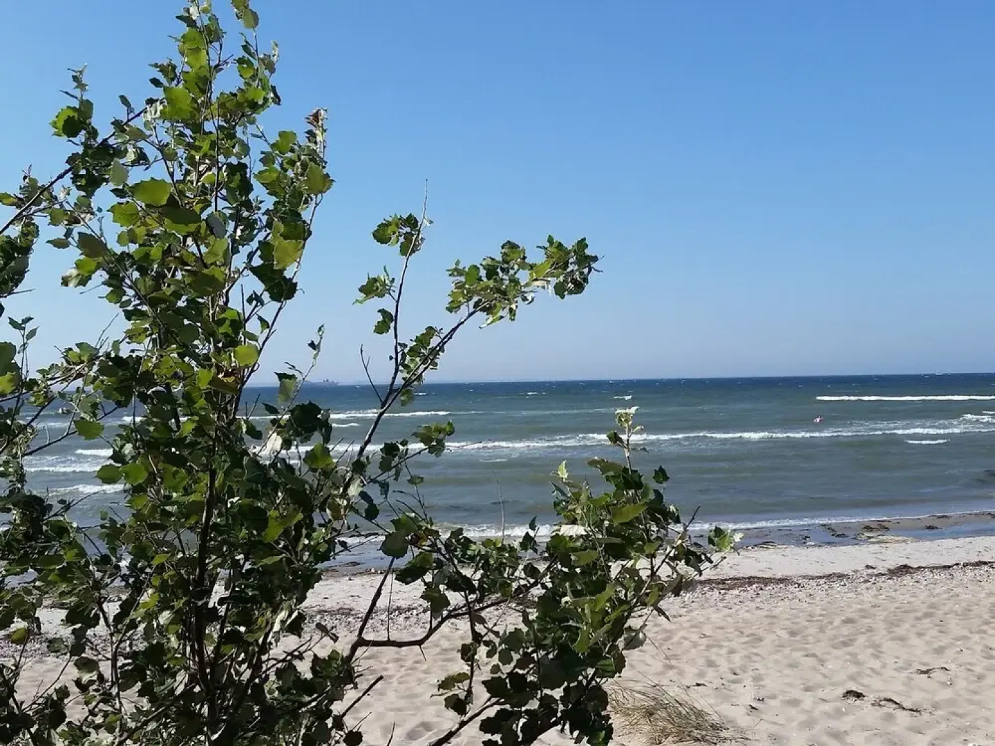 Cozy Apartment in Beckerwitz With Garden