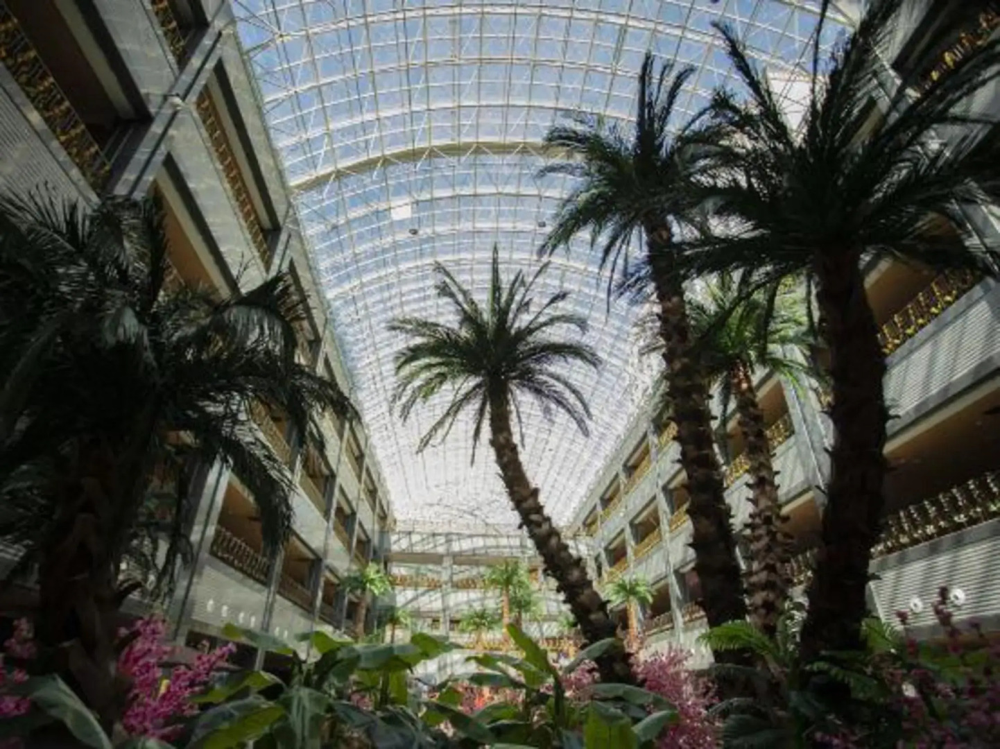 Mount Changbai Pangu Hot Spring Hotel