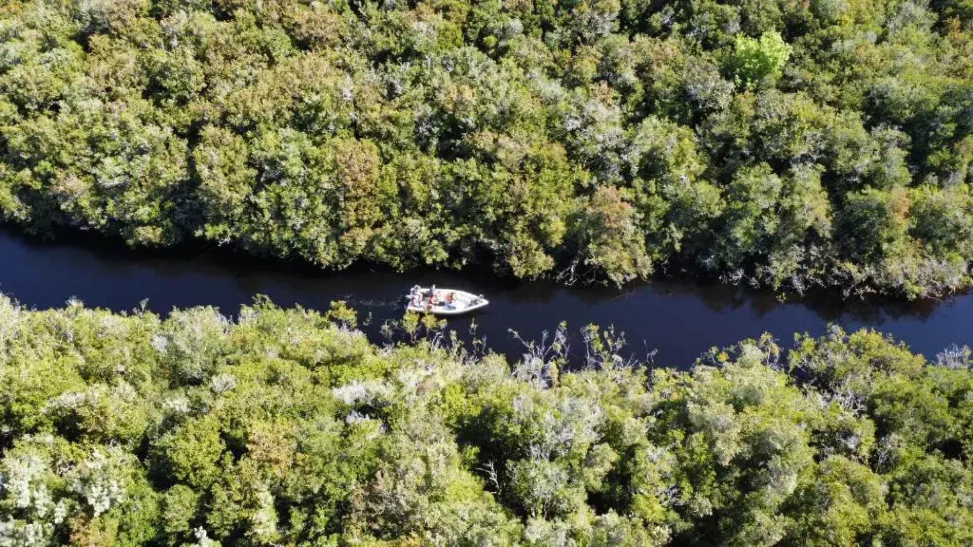 Lodge Parque Tepuhueico