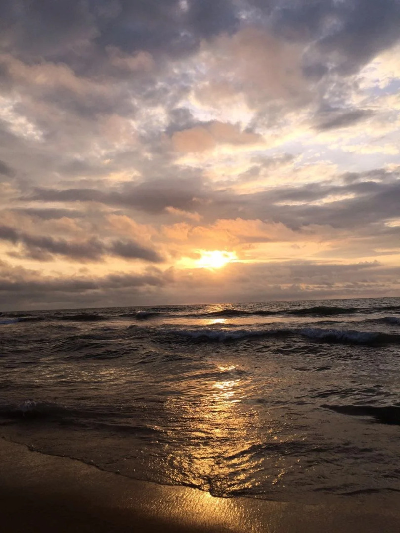 Terrace Green Hotel & Spa