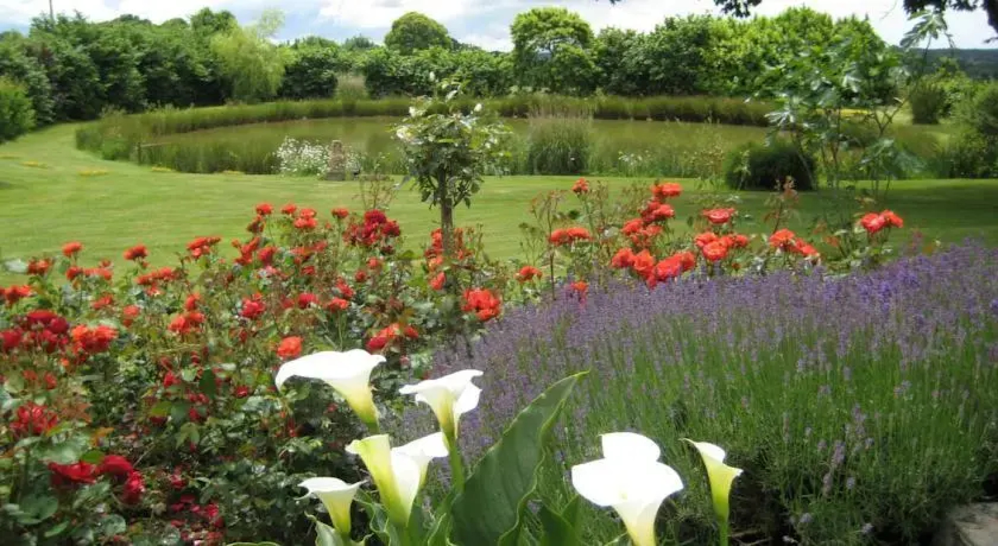 Les Lierrus B&B