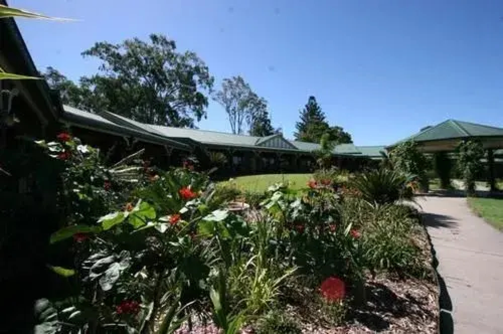 The Bearded Dragon Boutique Hotel