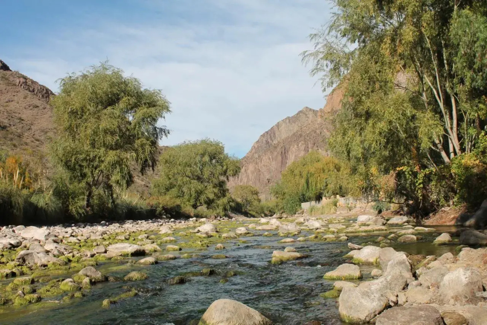 Posada de Campo Pura Vida