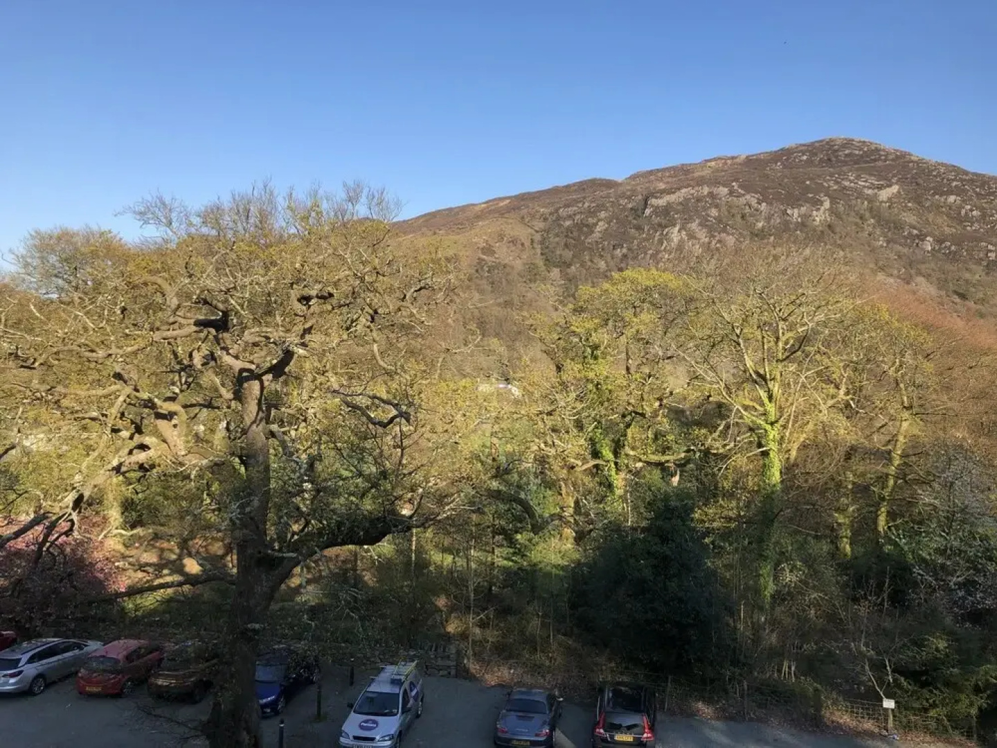 Royal Goat Hotel