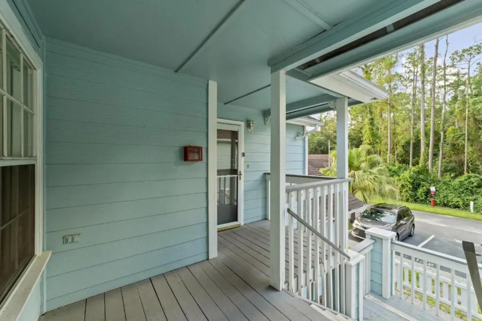 Mickey's Backyard Neighbor!