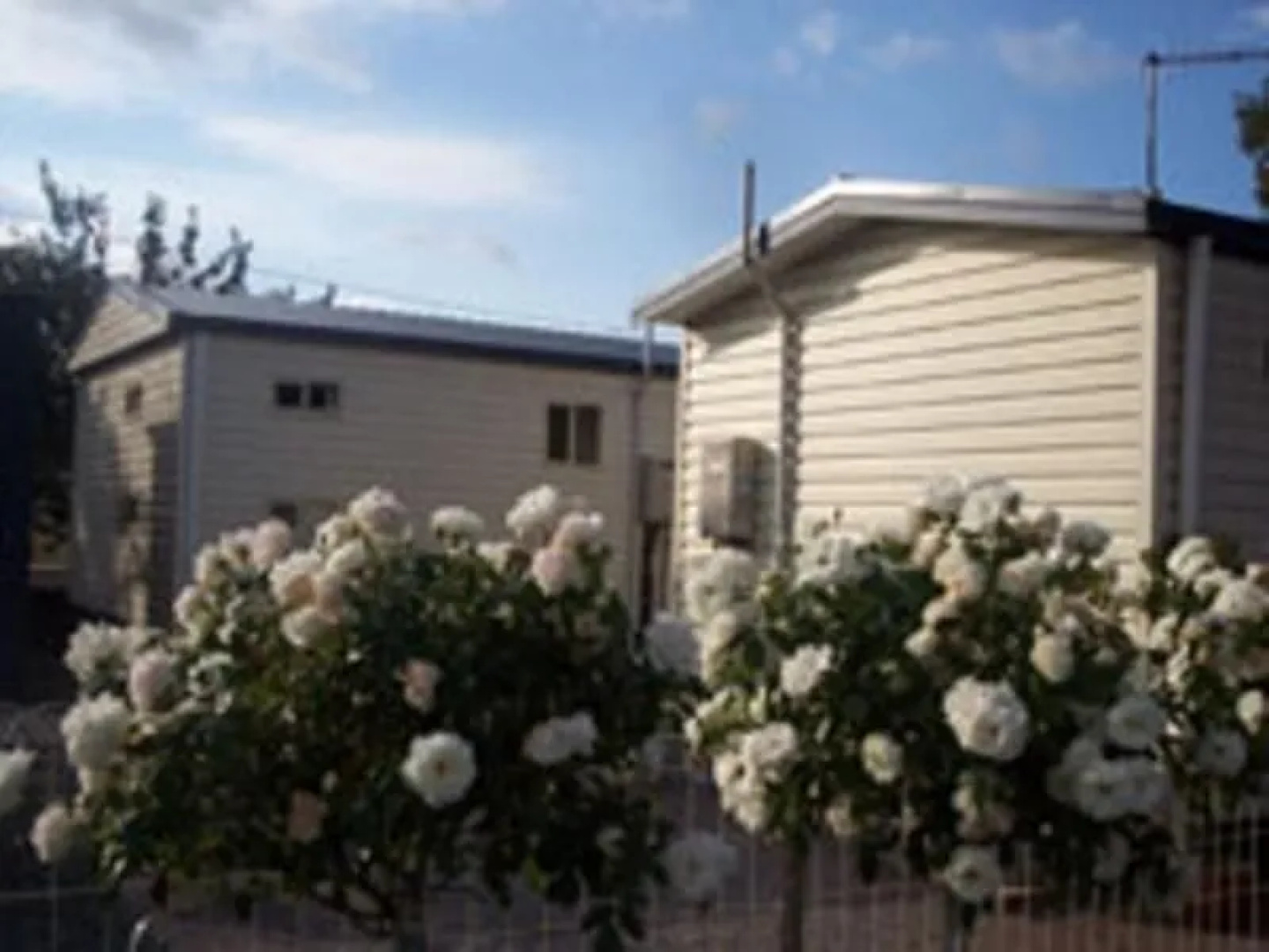 Sheffield Cabins & Apartments