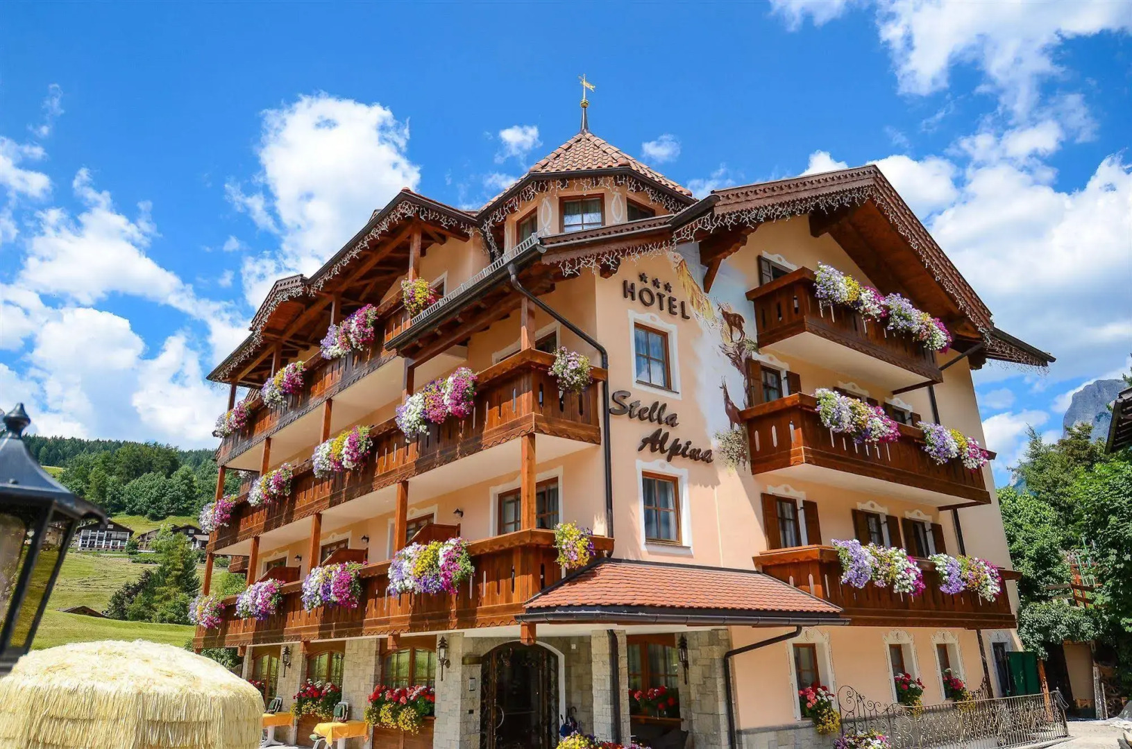 Hotel Stella Alpina