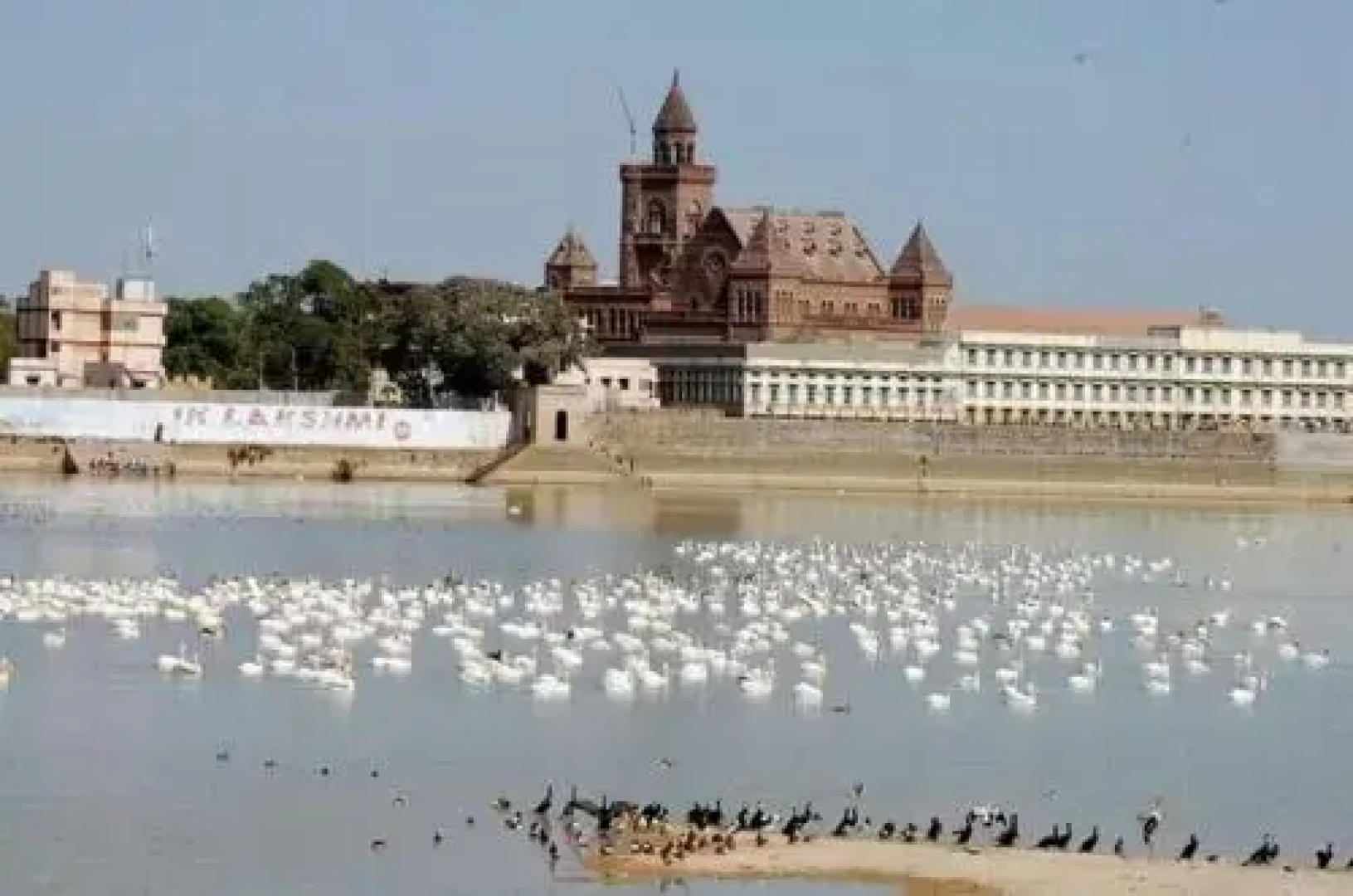 Divya Jyot Residency