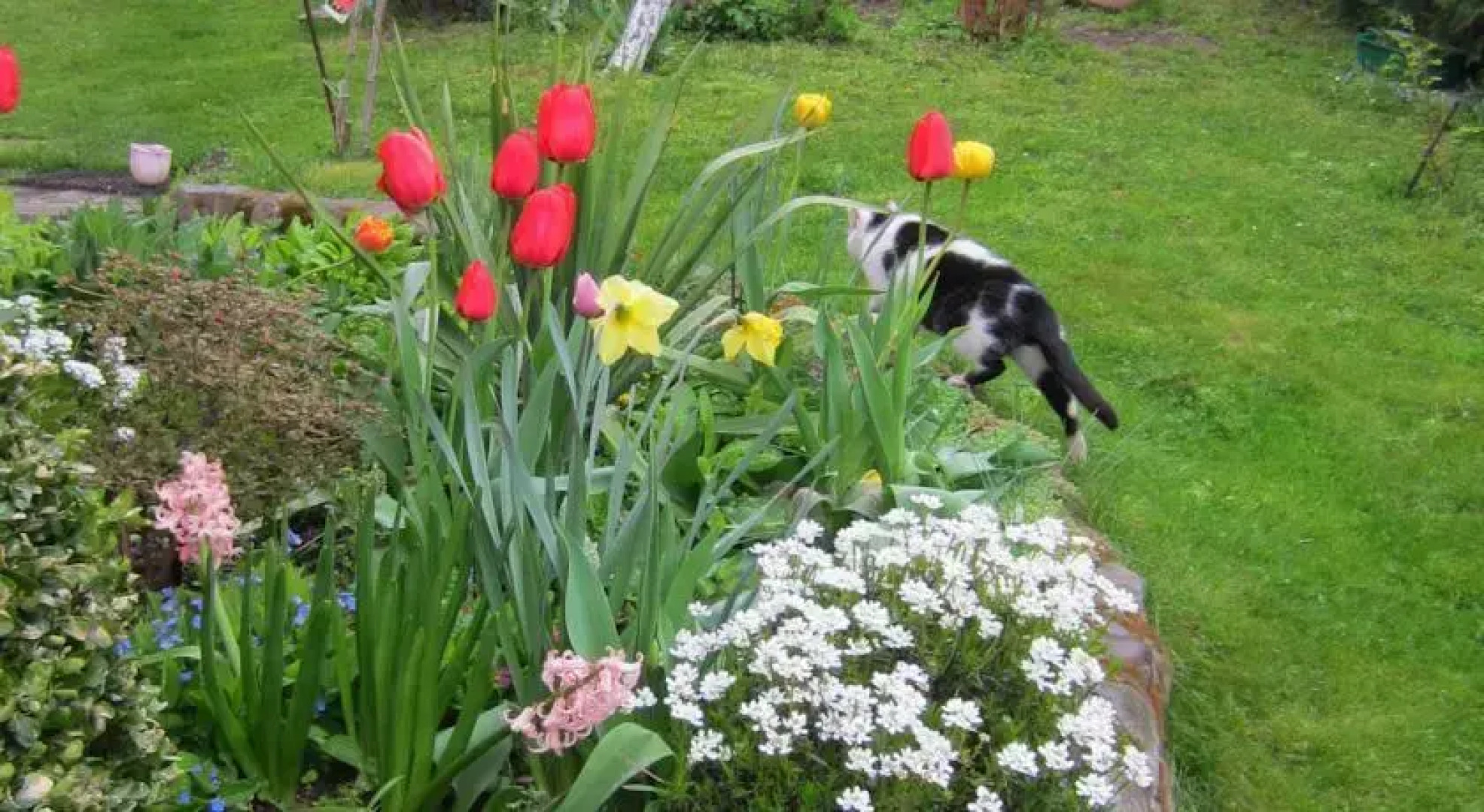 Pokoje Gościnne Bolków