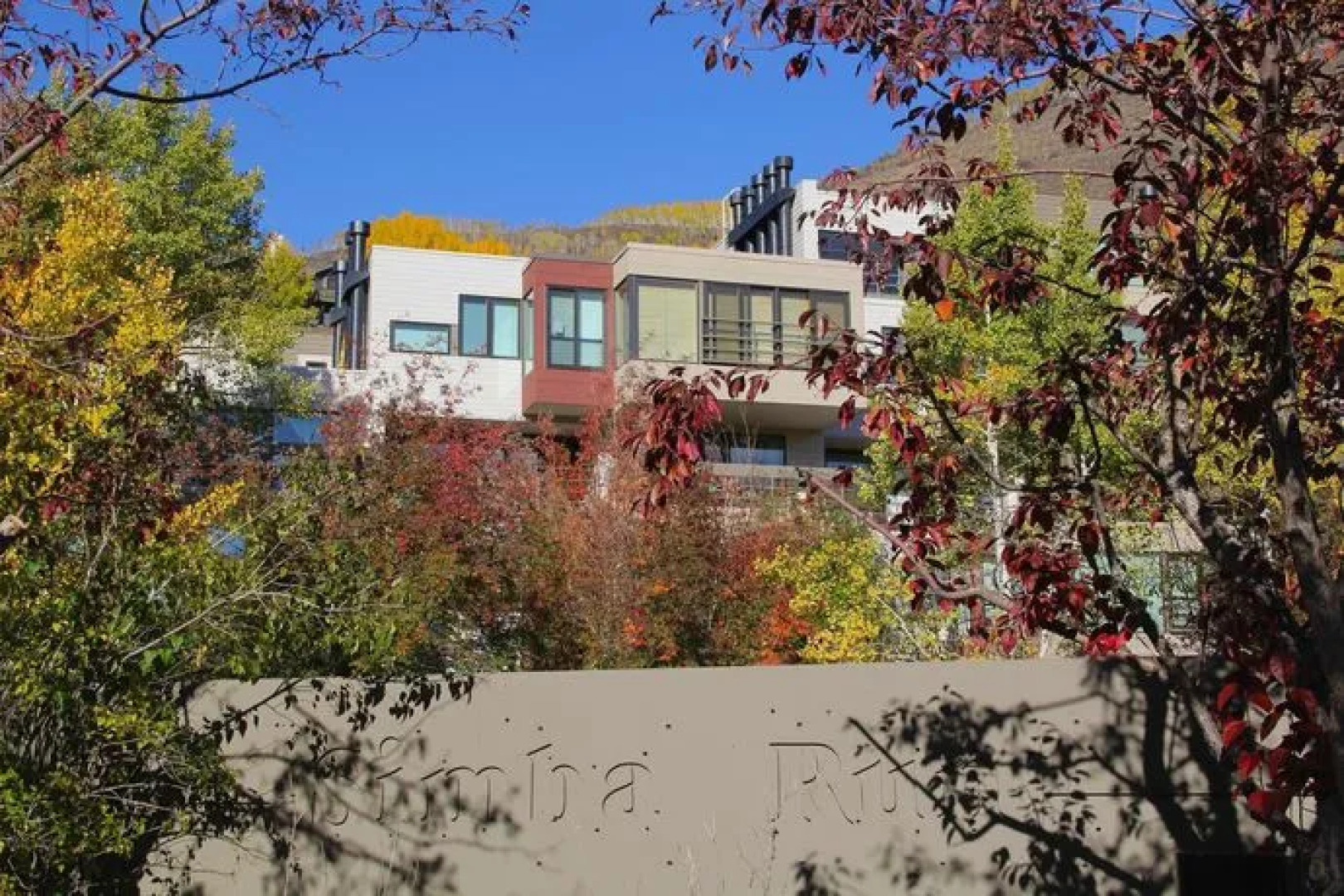 Excelsior Fun & Basic