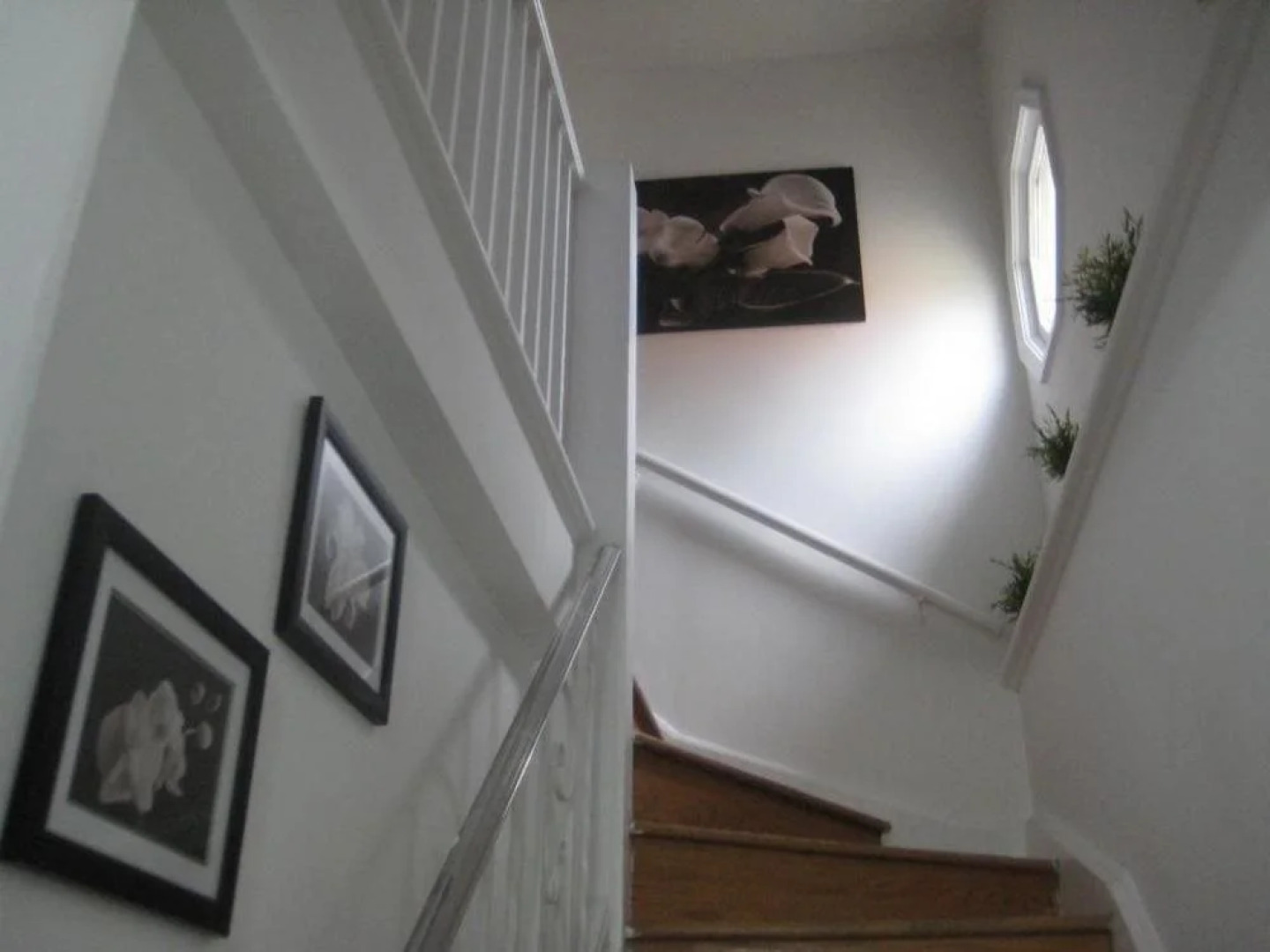 Adib Apartments - 1689 Baseline Rd, Unit A2