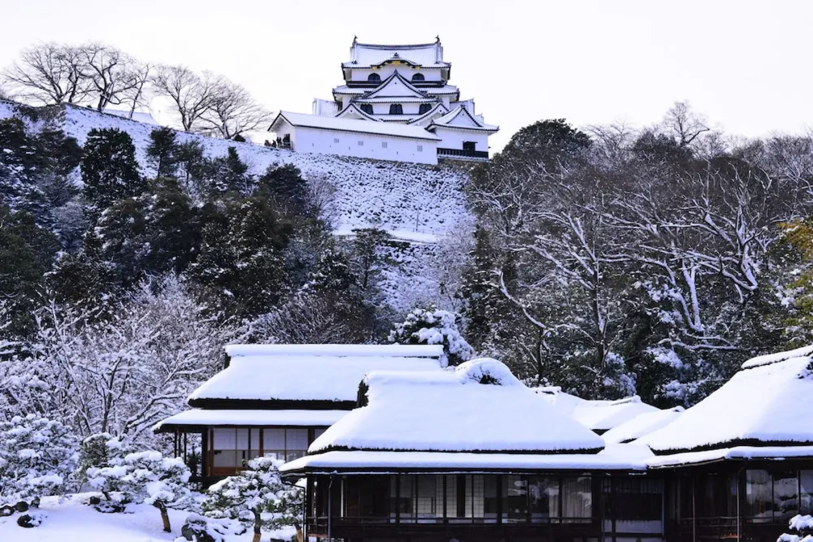 Business Hotel Serikawa