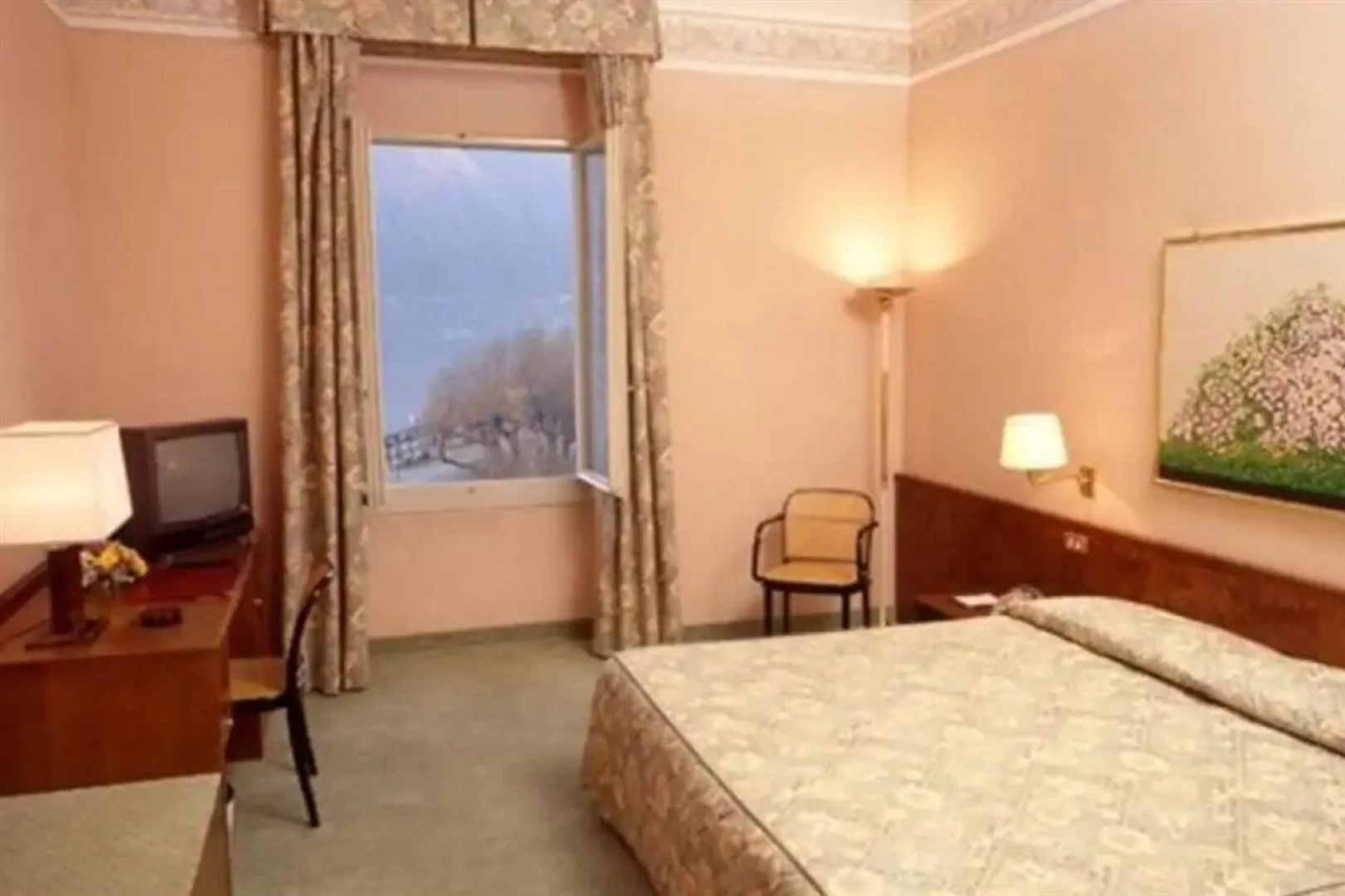 Hotel Regina Olga