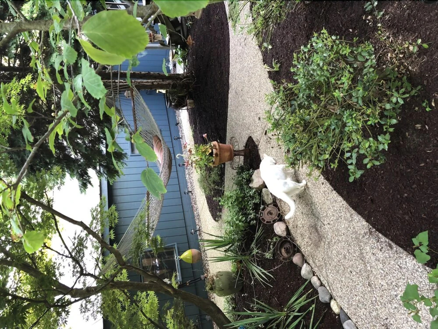 TreePot TeaHouse and Garden