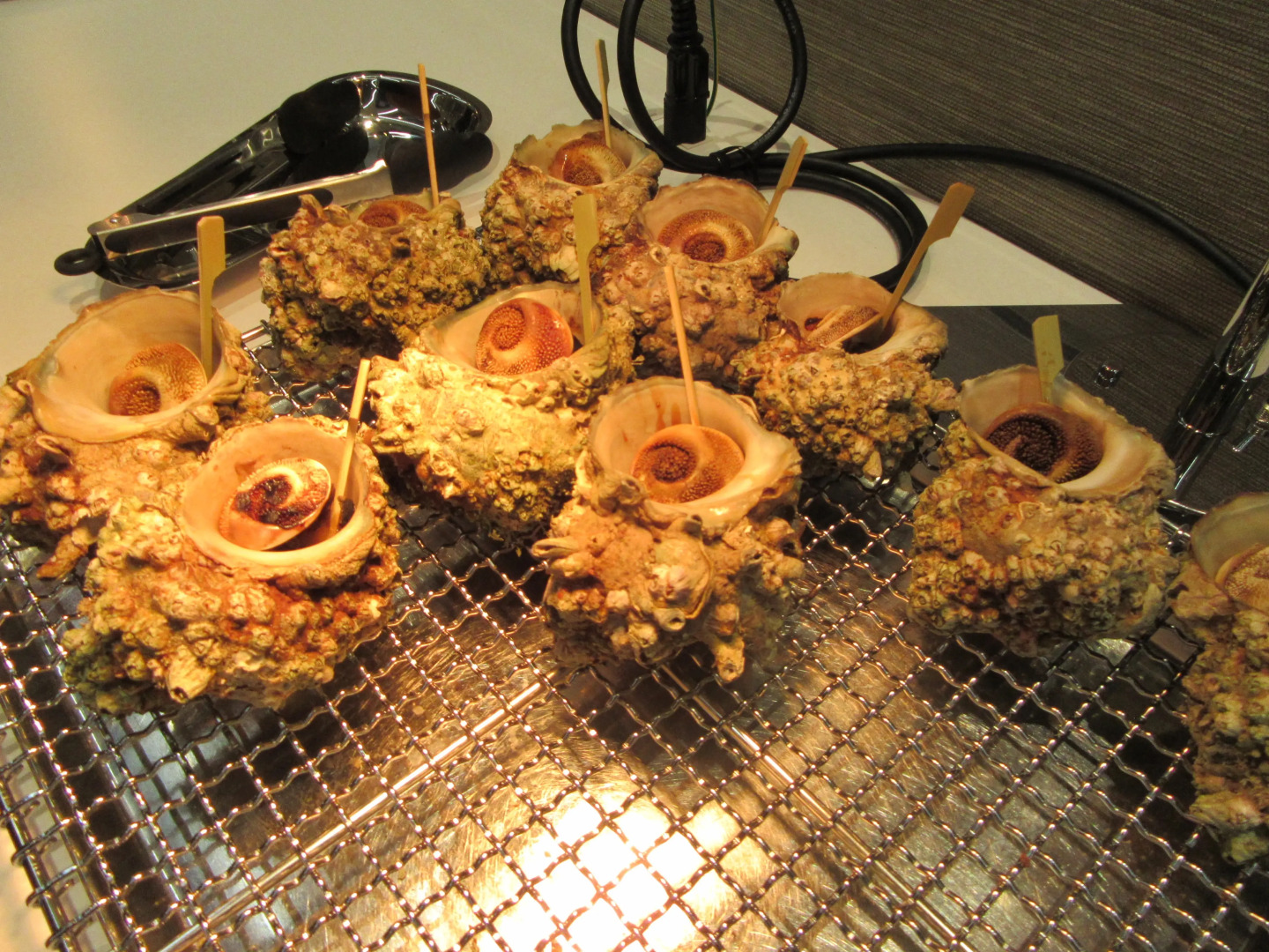 Koganezaki Furofushi Onsen