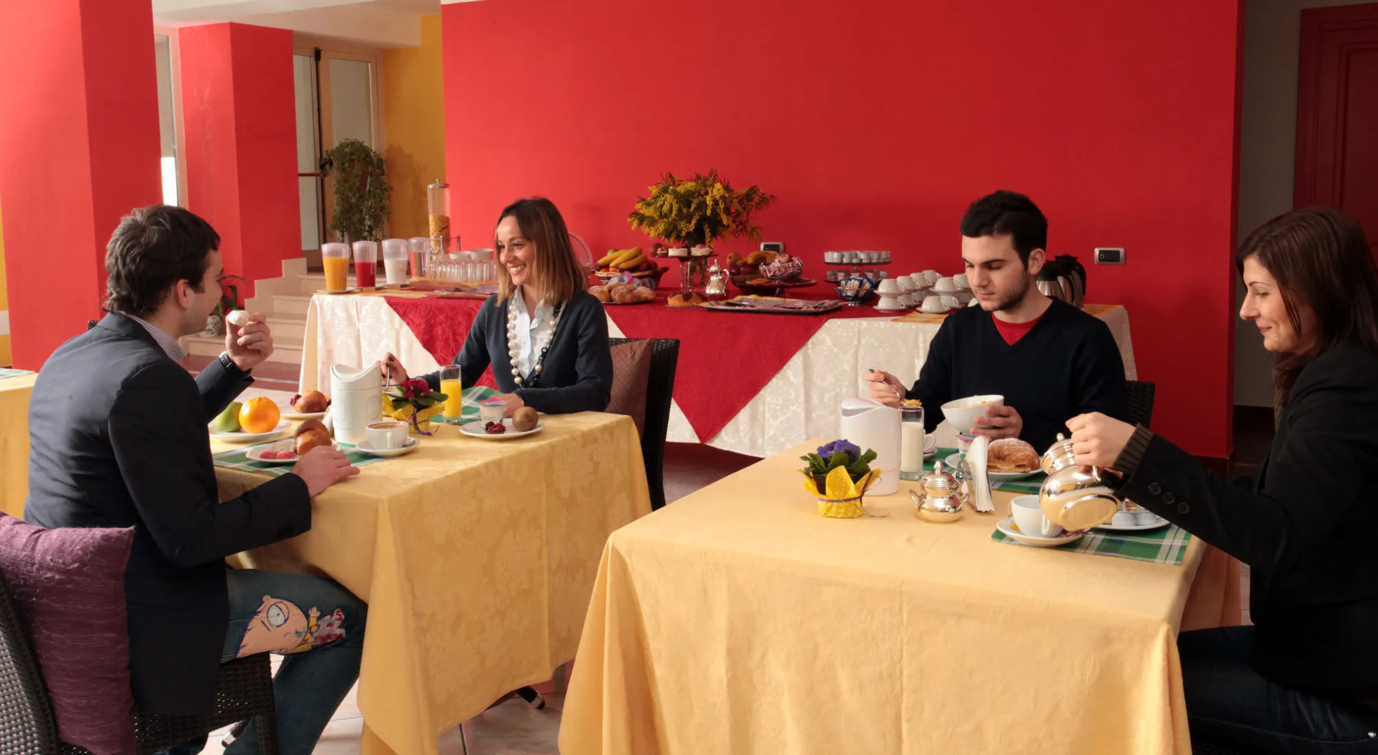 Diana Inn Accomodations