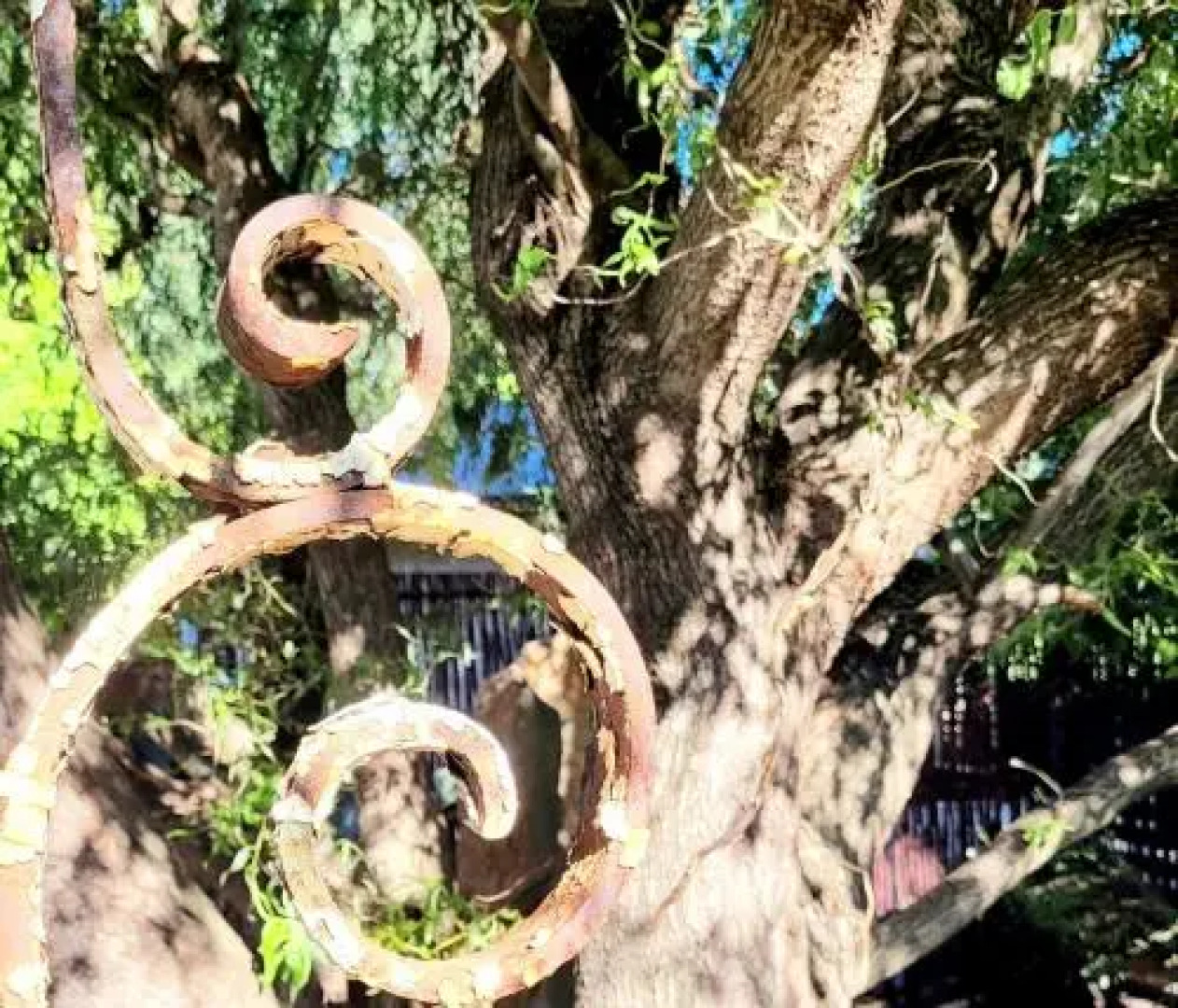 Grace Upon Grace Guest Suites