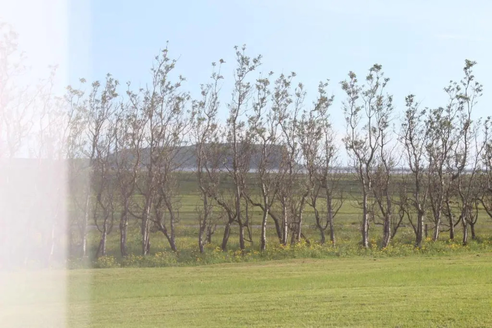 Skammidalur Guesthouse