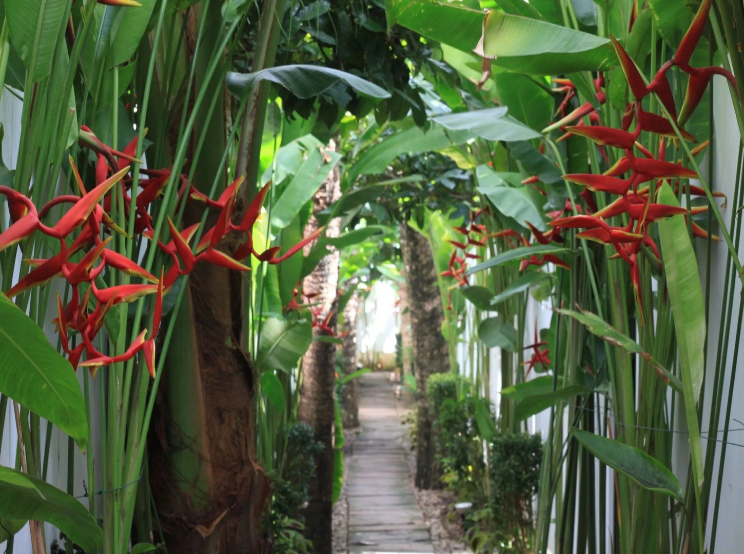 Coconut Grove Boutique Hotel