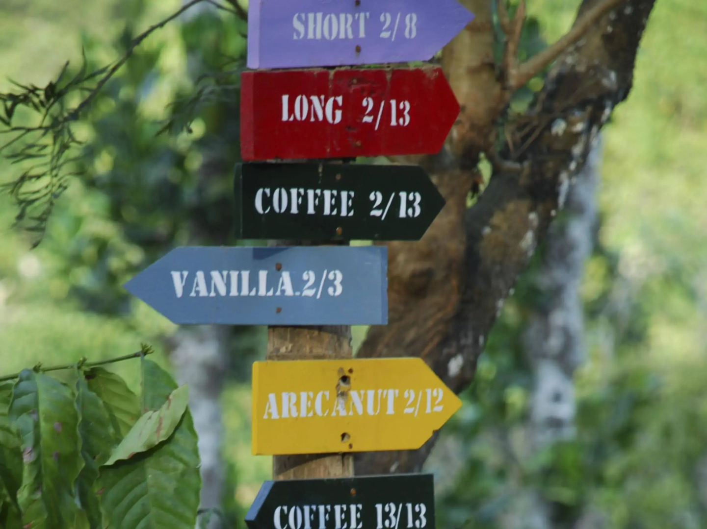 Tranquil Resort - BluSalzz Collection, Wayanad