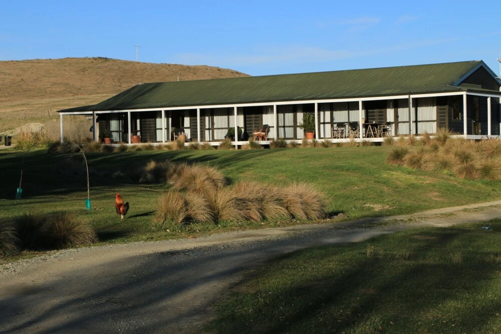 Waipiata Motel