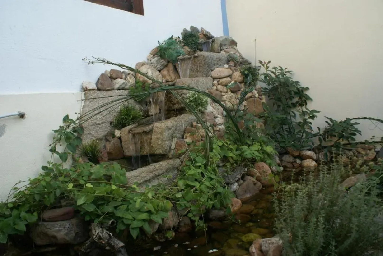 Casinha das Oliveiras