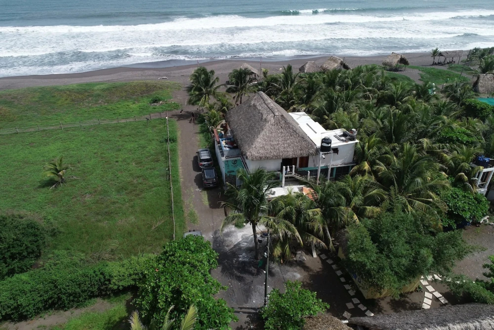 The Driftwood Surfer