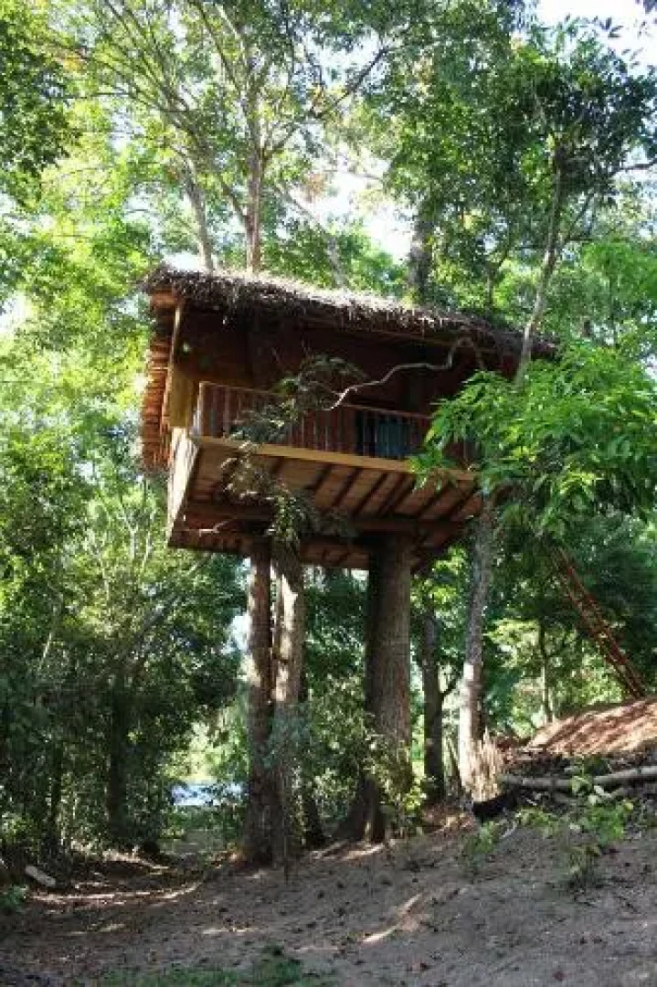 Tree House-Midigama