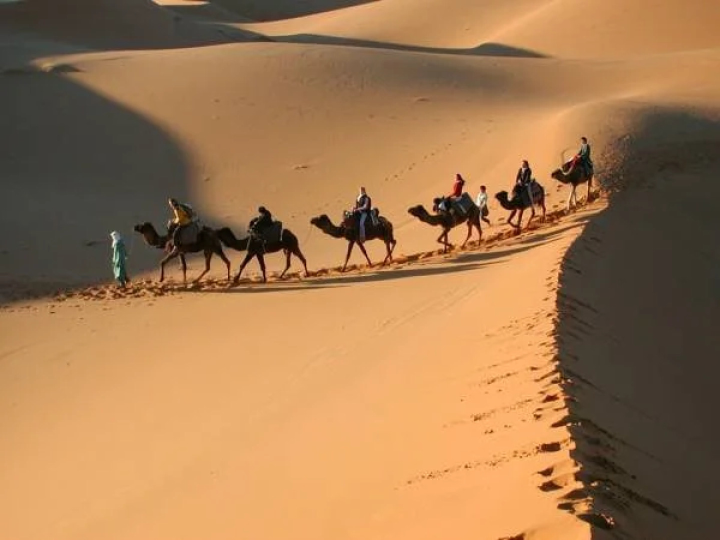 Maison Merzouga Guest House