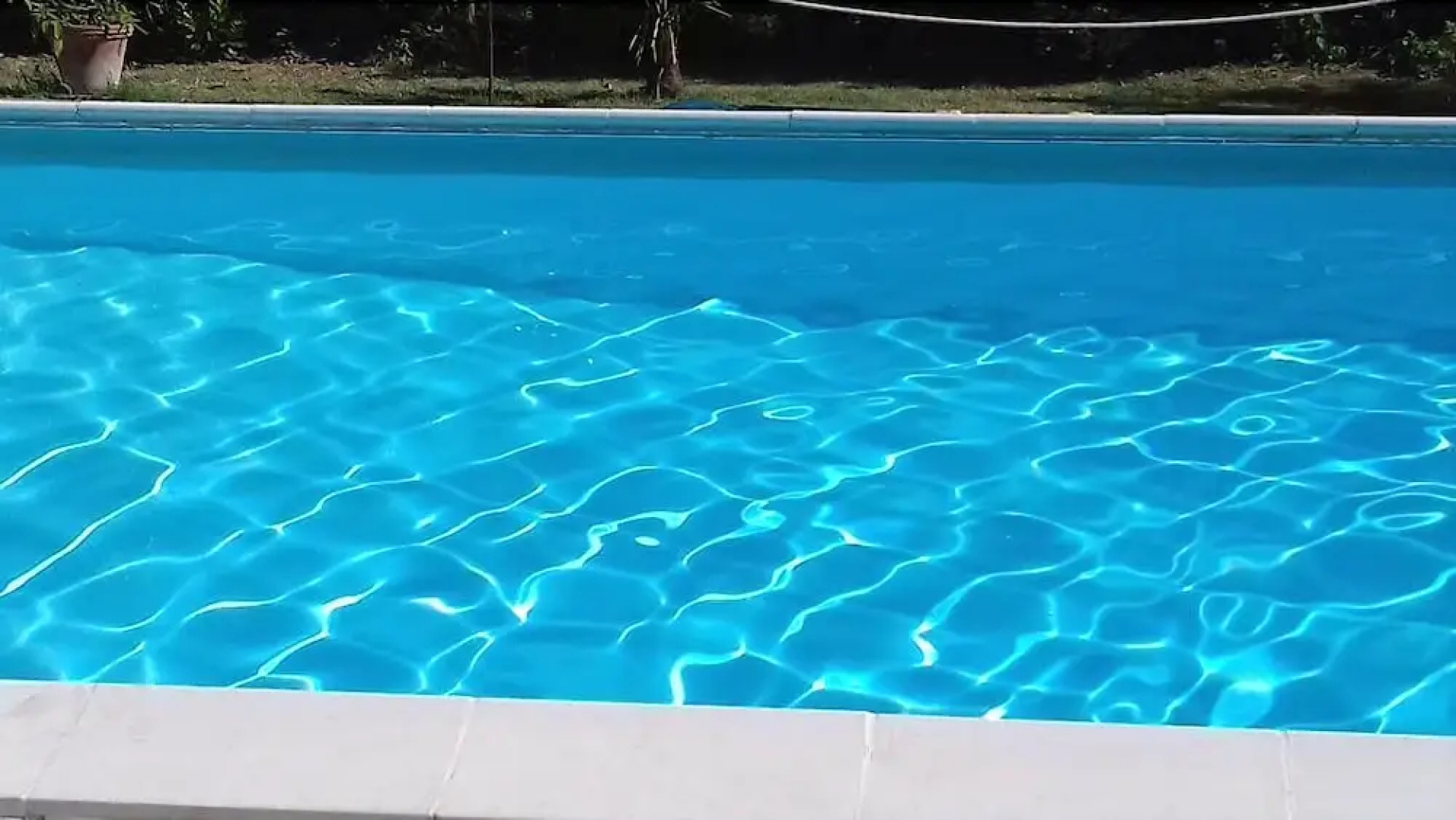 Il Grappolo e la Rosa