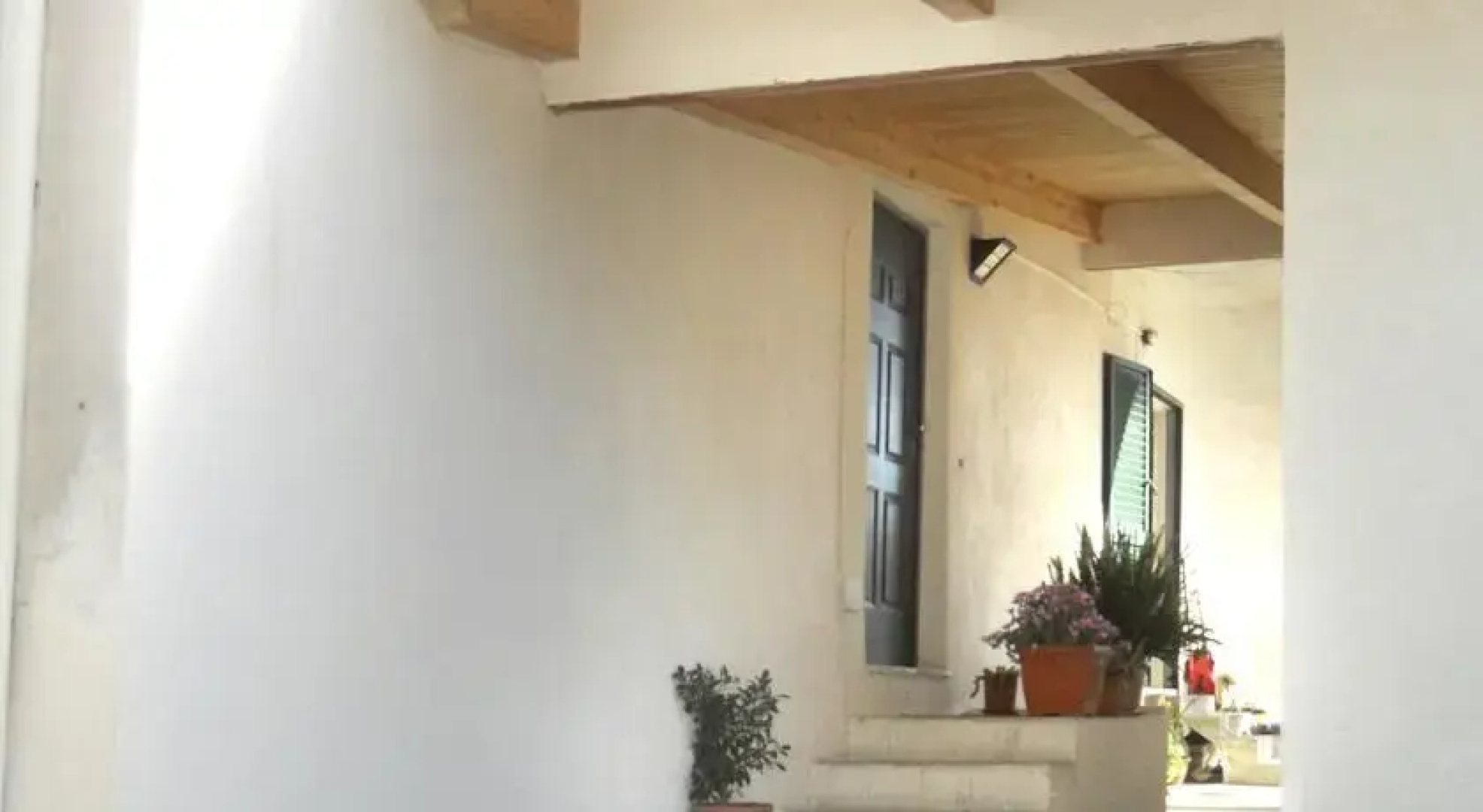 Capinera