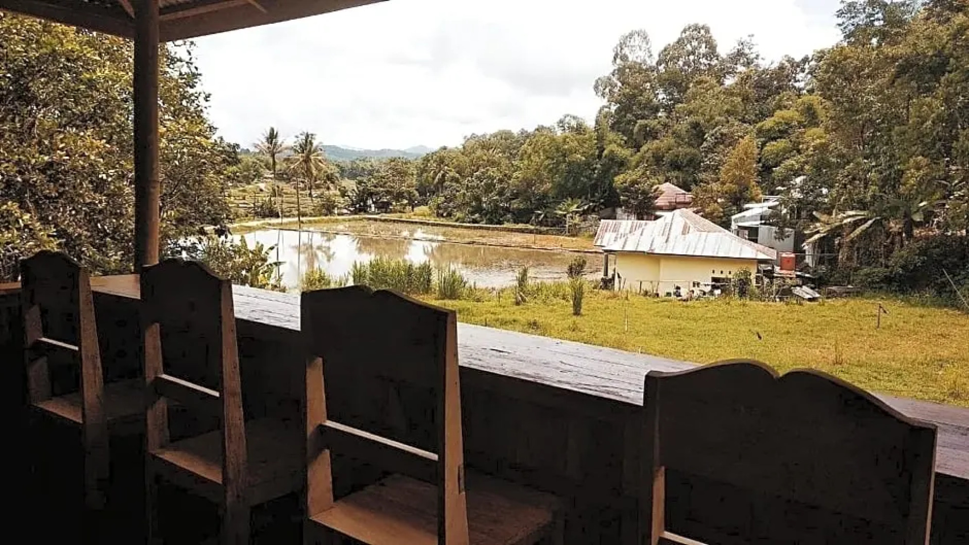 Wisma Papa Tia Toraja